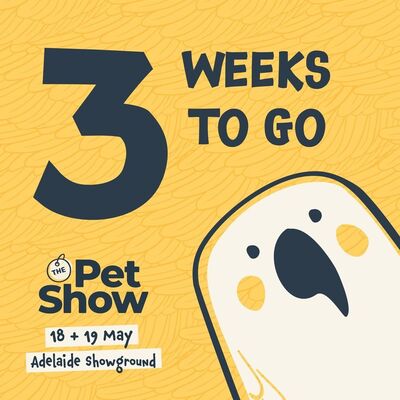 ADELAIDE- we are so excited to bring The Pet Show to our beautiful home town in just 3 weeks! 🐾⁠
⁠
We will have a range of different zones, areas, talks, activities and entertainment featuring ALL pets! 😍⁠
⁠
Bring your kids, bring your friends, bring your partner - there is something for every pet lover. 🐕⁠
⁠
Have you booked your tickets yet? ⁠😉⁠
⠀⠀⠀⠀⠀⠀⠀⠀⠀⠀⠀⠀⠀⠀⠀⠀⠀⠀⁠
Grab this one by the tail! Tickets 👉 at link in bio. ⁠
⁠
ADELAIDE PET SHOW⁠
📅 Saturday 18 & Sunday 19 May⁠
🕜 10am - 4pm⁠
📍 Adelaide Showgrounds, Wayville⁠
⁠
See you there! 😸⁠
⁠
⁠
.⁠
.⁠
.⁠
.⁠
.⁠
#petshowaustralia #thepetshow2024 #petexpo #petlovers #furfamily #petcare #peteducation #animallovers #petproducts #petcommunity #petfun #petfriendly #petowners #petevent #pettraining #petentertainment #pethappiness #petrescue #petsupplies #petlife #petadoption