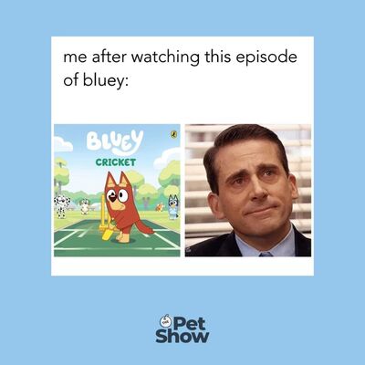 When Rusty gives you all the feels, it's no surprise this was voted #1 on Bluey Fest! 🏏What is your favourite Bluey episode? ⁠
⁠
#blueyfest #blueylove