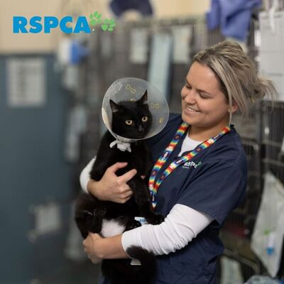 Did you know that when you purchase your ticket for The Pet Show Melbourne, you are supporting @rspca_vic 😻⁠
⁠
$2 from every ticket purchased is donated to RSPCA Victoria, how good is that!? 
⁠
RSPCA are a integral part of animal welfare in Australia, they help to house and rehome neglected pets, fight against animal cruelty, reunite families with their lost pets and even educate communities. 🐕⁠
⁠
As a Charity, RSPCA's work is entirely funded by community donations, so every little contribution goes a long way. ⁠🐾
⁠
Melbourne, come and join in on all the fun (and have your money support a good cause 😉) at The Pet Show! You wont regret it. 💗⁠

📅 Saturday 13 & Sunday 14 April
🕜 10am - 4pm⁠
📍 Melbourne Showgrounds⁠

Fetch your tickets via link in bio. 🙌

.
.
.
.
.

#thepetshowaustralia #thepetshow #petshow #petlover #doglover #catlover #animallover #pets #petexpo